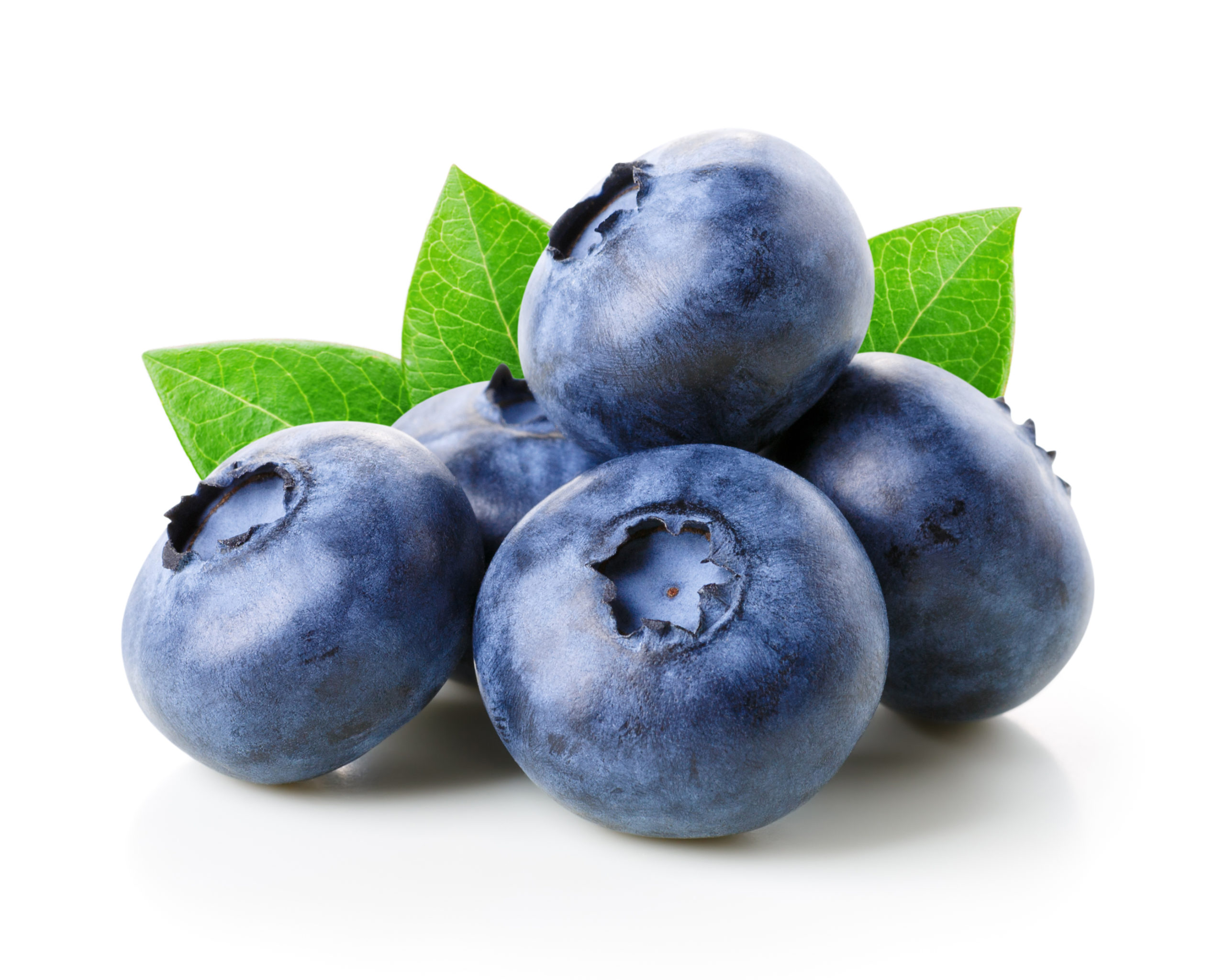 Myrtille (Bleuet) barquette de 125gr | Sebala Fruits N°1 en Algérie ,vente  de fruits exotique et hors saison 